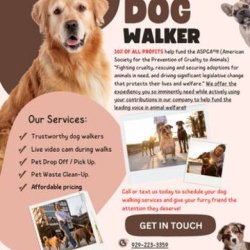 DOG WALKER IN QUEENS NYC!!!🐾🐕‍🦺